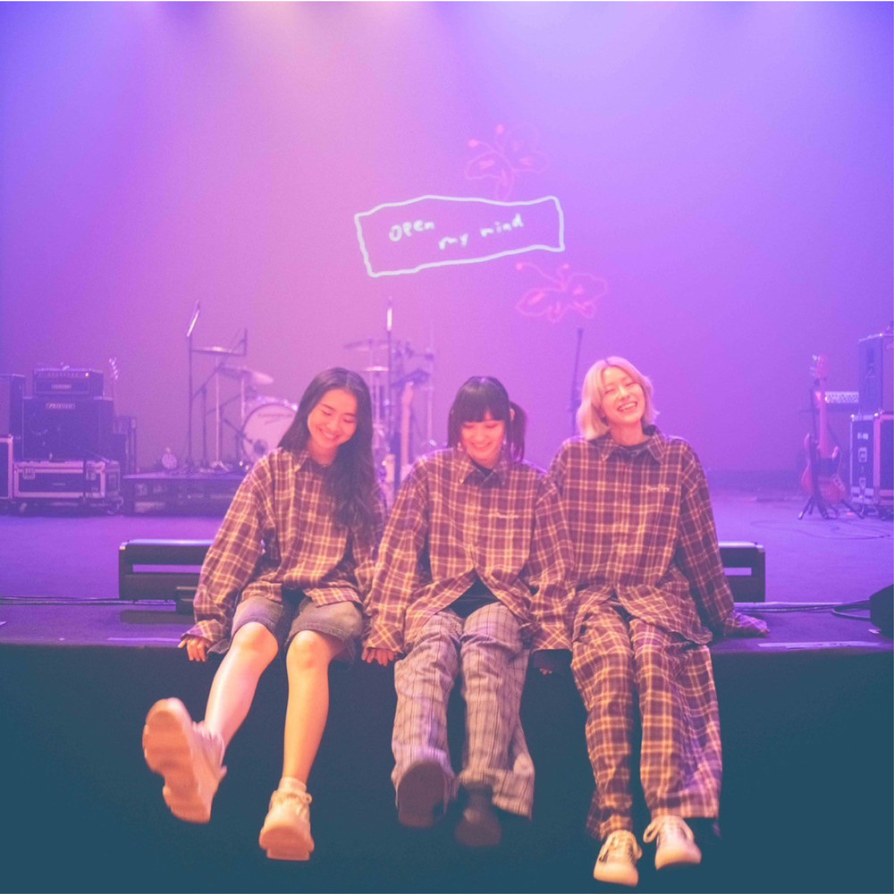 Pajama shirt