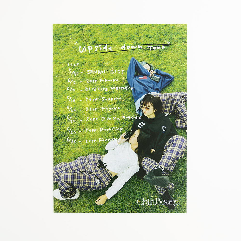 upside down tour Poster